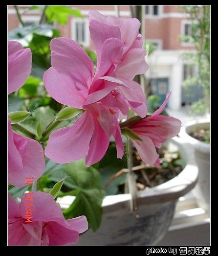 ����ۻ��ɡ���