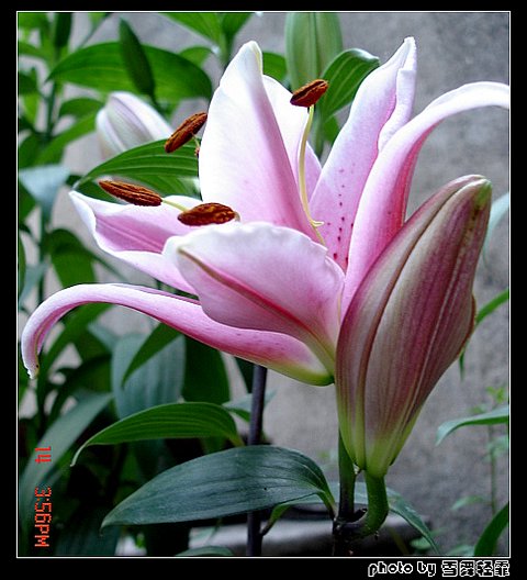 �Ұٺ�Ҳ�д��졭����������ʼ��