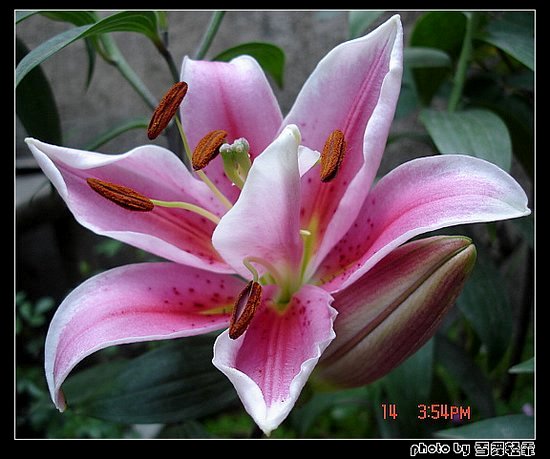 �Ұٺ�Ҳ�д��졭����������ʼ��