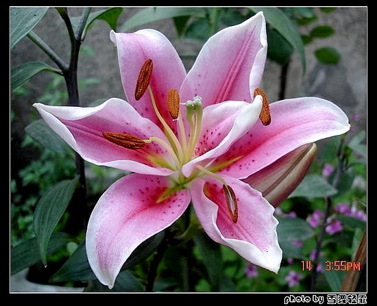 �Ұٺ�Ҳ�д��졭����������ʼ��