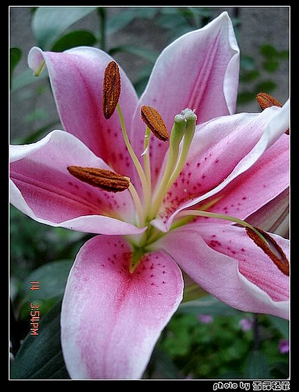 �Ұٺ�Ҳ�д��졭����������ʼ��