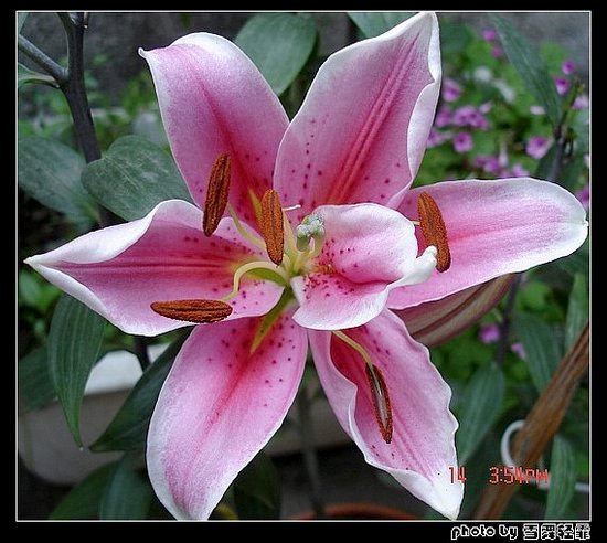 �Ұٺ�Ҳ�д��졭����������ʼ��