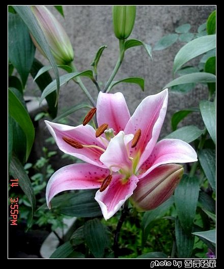 �Ұٺ�Ҳ�д��졭����������ʼ��