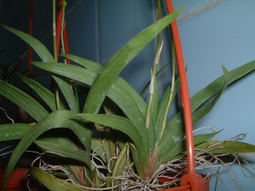 ���~����