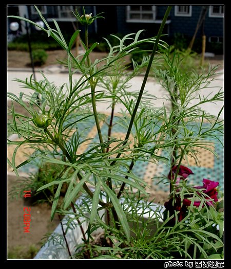 ż�Ҳ�˹Ҳ��������