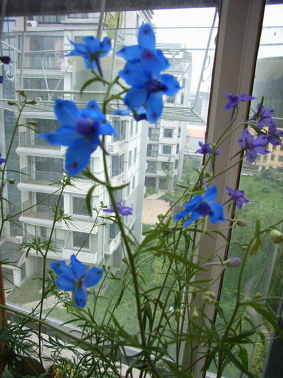 ��è����      *-*����Ļ�԰*-*