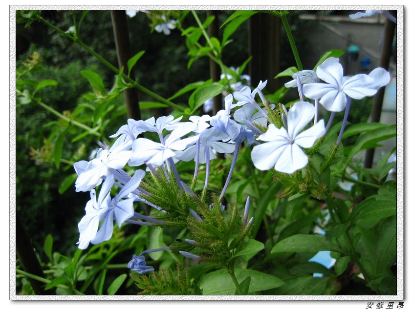 ��78�����̨