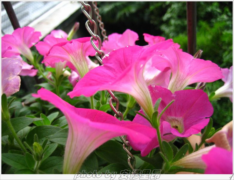 ��78�����̨