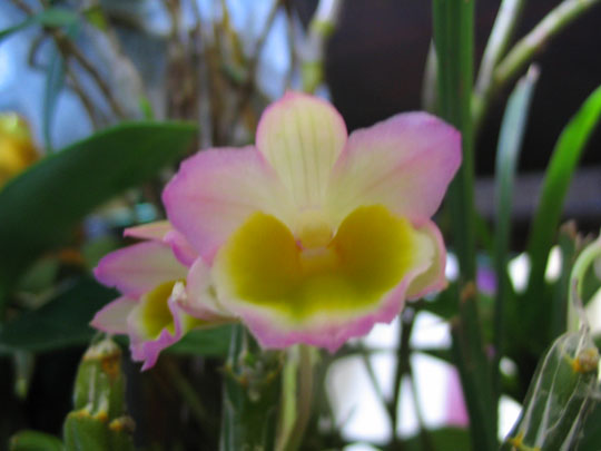 ����ҡҷ�Ķ���