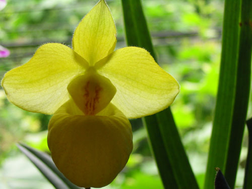 ����ҡҷ�Ķ���