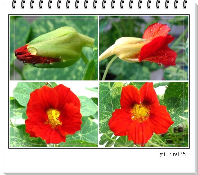 05�ﲥ�ɹ�չʾ