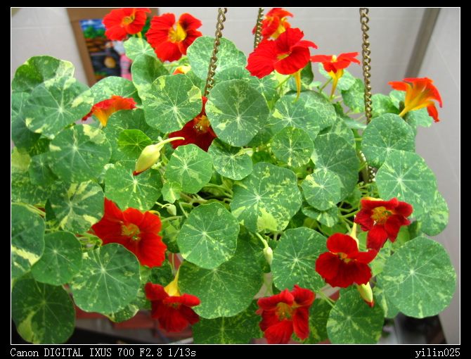 05�ﲥ�ɹ�չʾ