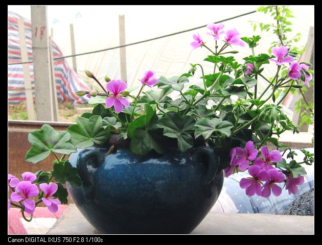 ��������ݮ԰��~~���ÿ�~~