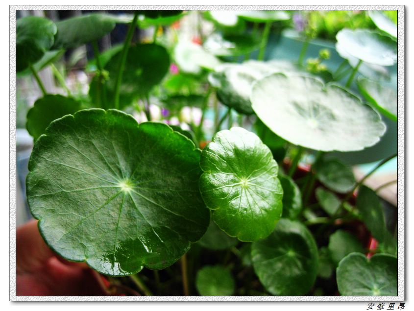 ��78�����̨