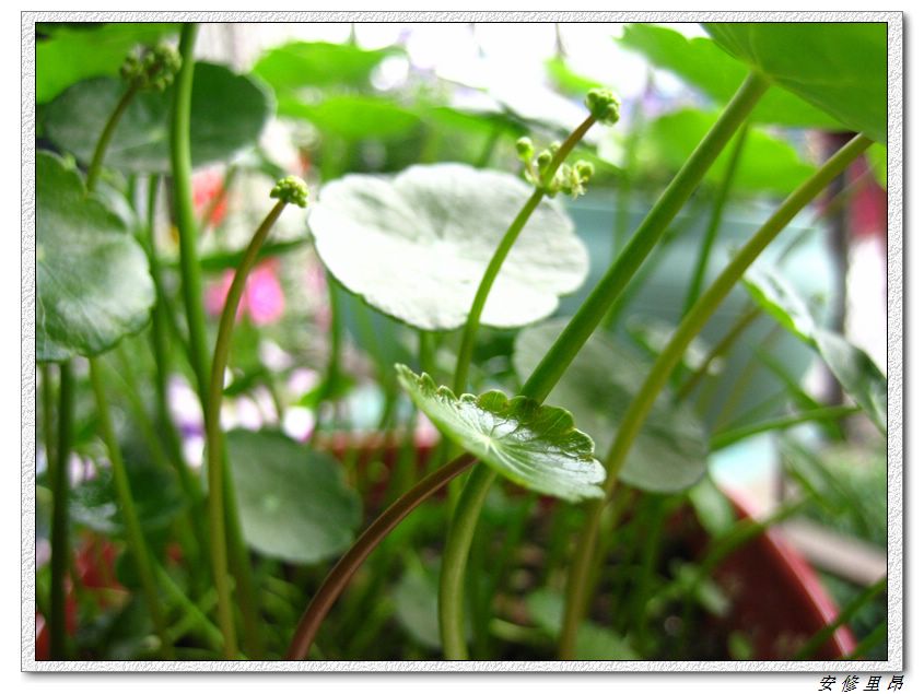 ��78�����̨