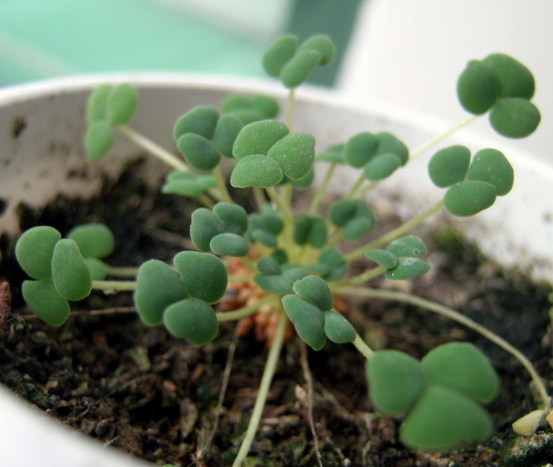 ����10¥��PP��