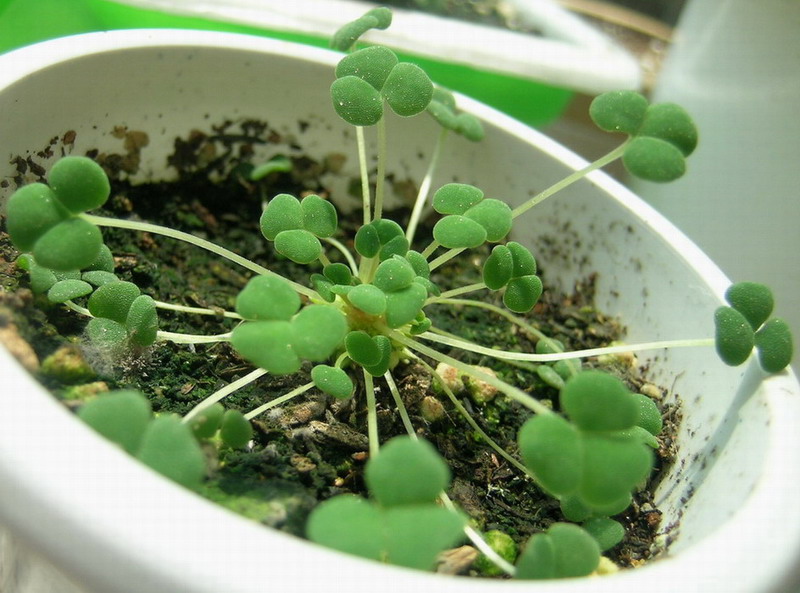 ����10¥��PP��