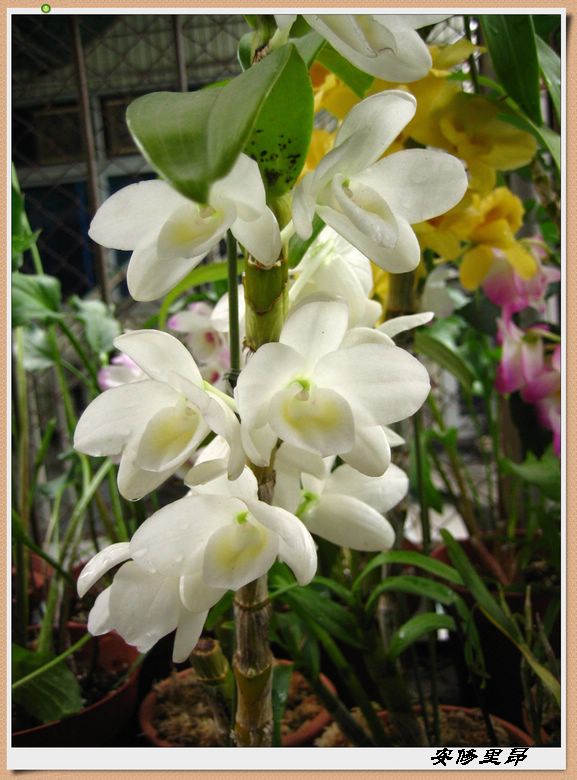 ��78�����̨