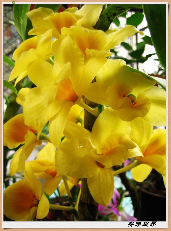 ��78�����̨