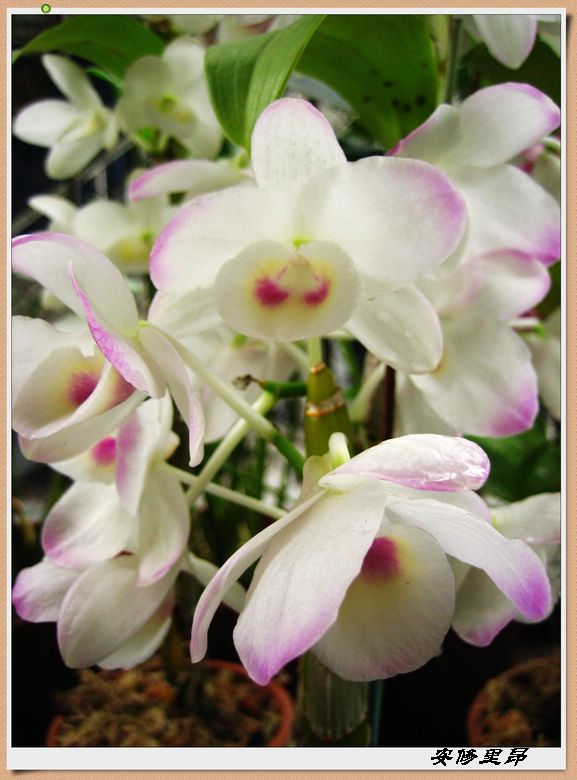 ��78�����̨