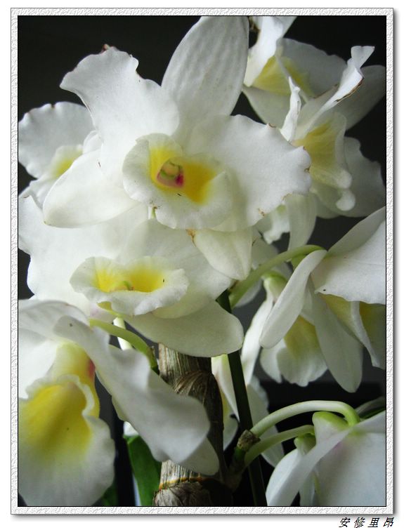 ��78�����̨