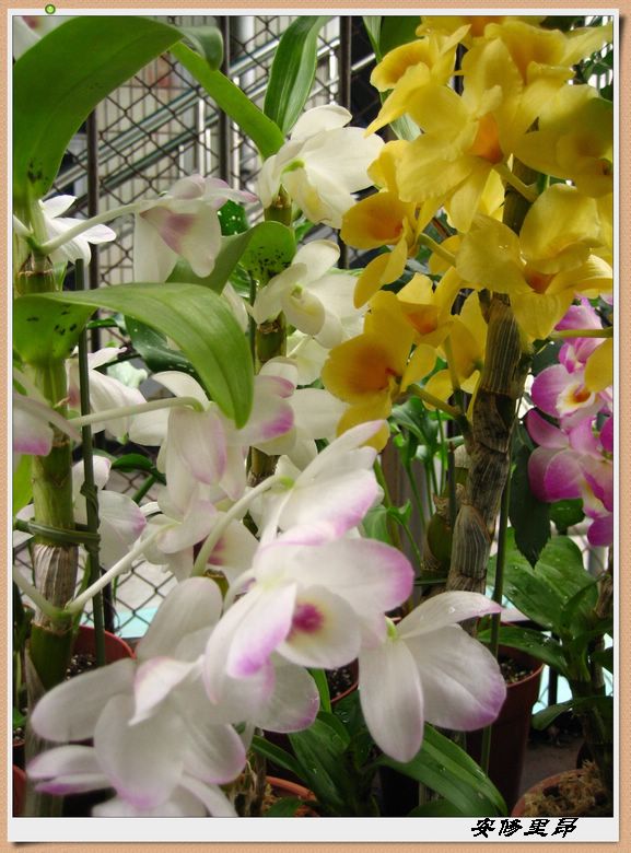 ��78�����̨