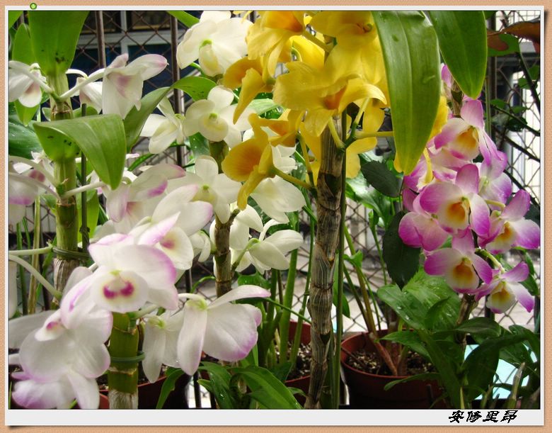 ��78�����̨