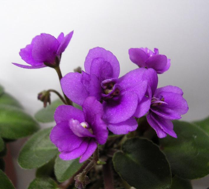 [��ˮ]��������ˮ��