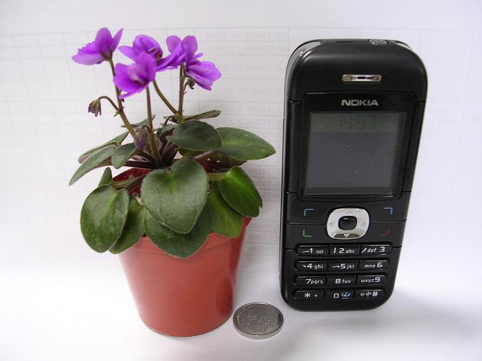 [��ˮ]��������ˮ��