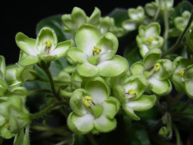 [��ˮ]��������ˮ��