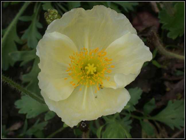 �Ϻ�������·�̻����ı���������