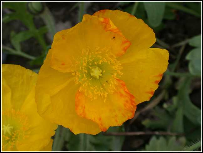 �Ϻ�������·�̻����ı���������