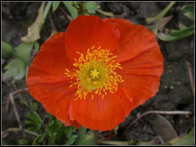 �Ϻ�������·�̻����ı���������