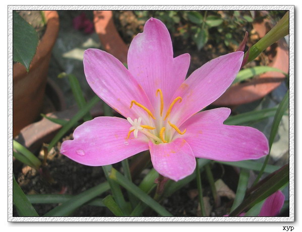 �����쿪��