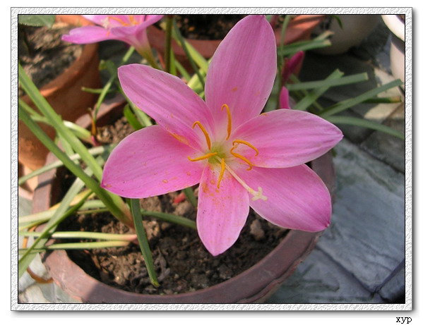 �����쿪��