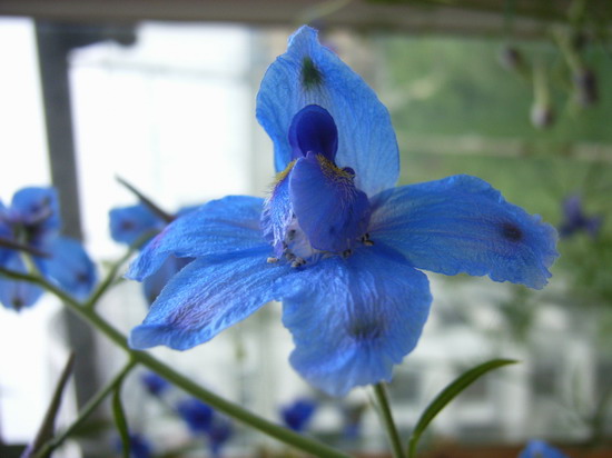 ���������ȶ�������ݼ��������� *-*����Ļ�԰*-*