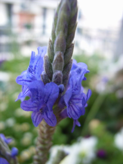 ���������ȶ�������ݼ��������� *-*����Ļ�԰*-*