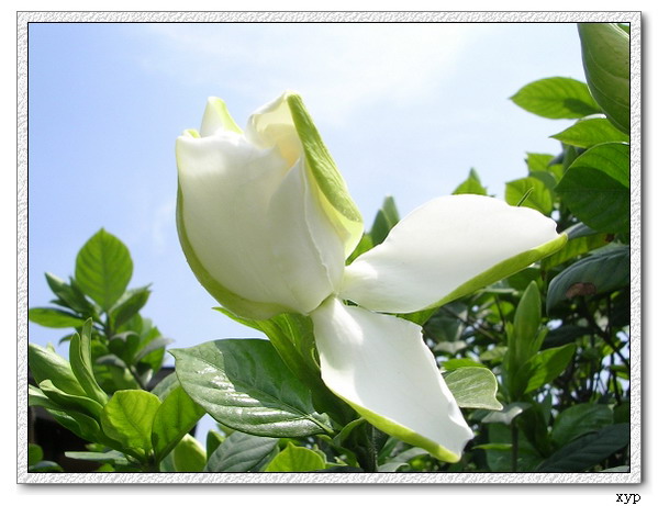 ���ӻ���