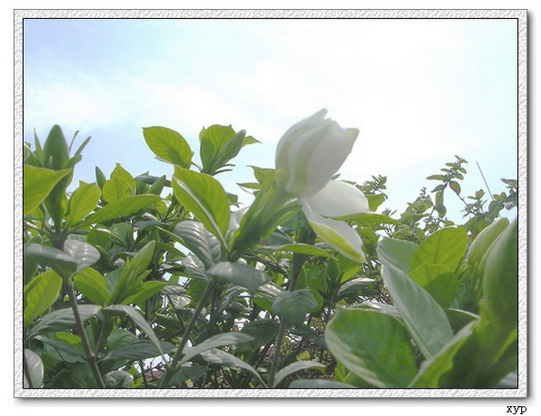 ���ӻ���