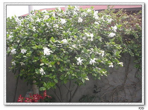 ���ӻ���