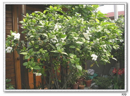 ���ӻ���