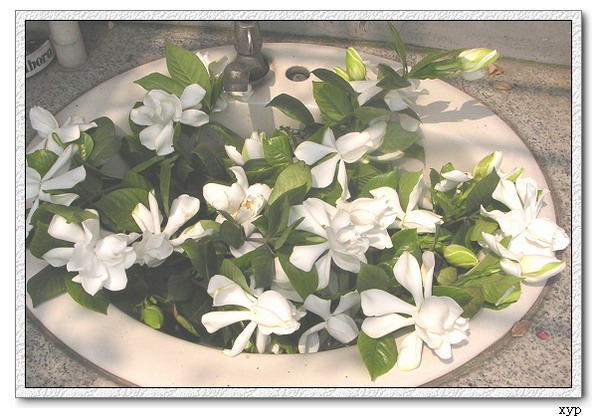 ���ӻ���