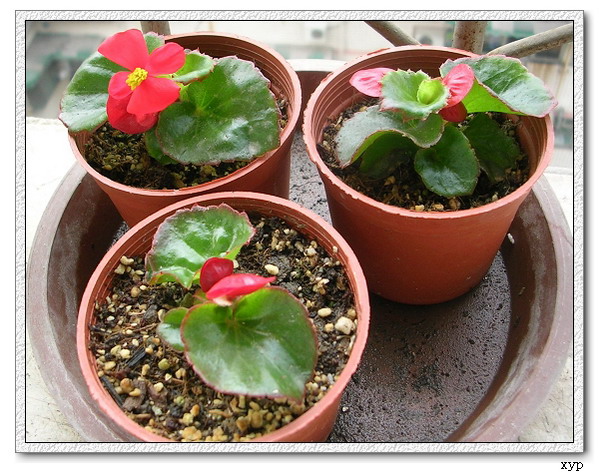 ��һ������ļһ�