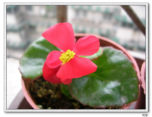 ��һ������ļһ�