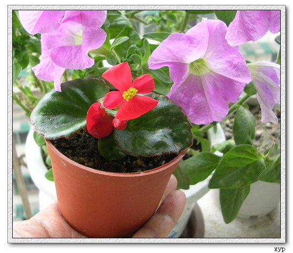 ��һ������ļһ�