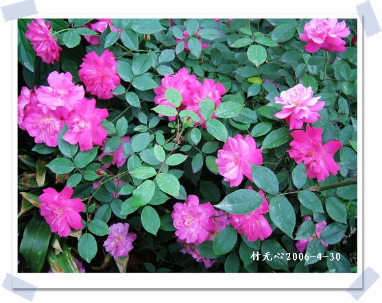 ·�߻�,ʯ��,Ǿޱ,������..