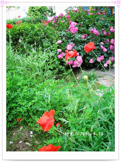 ·�߻�,ʯ��,Ǿޱ,������..