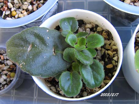 �ຣ�ޱߣ�5��������