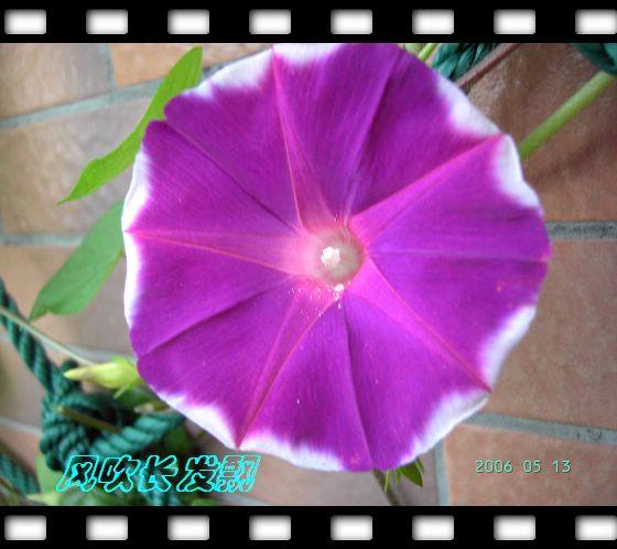 ѫ�¾տ��˺�����