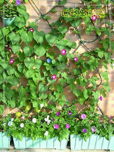 ѫ�¾տ��˺�����